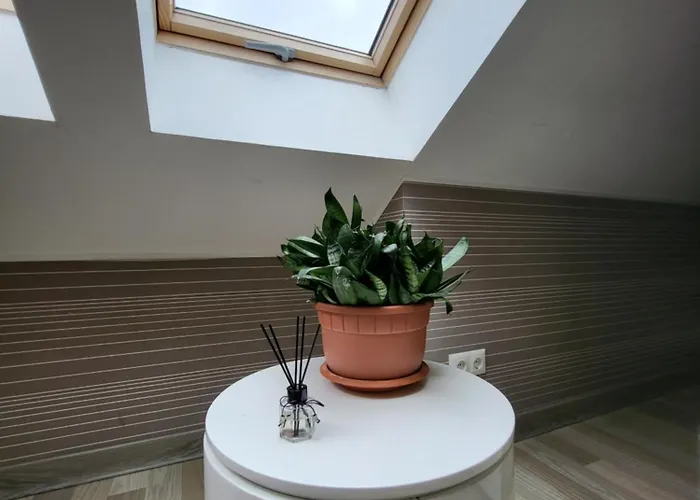 公寓 Velvet Loft Centre Narva-Jõesuu